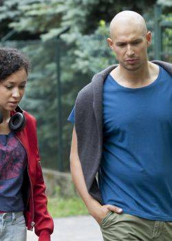 Barwy szczęścia - odcinek 812