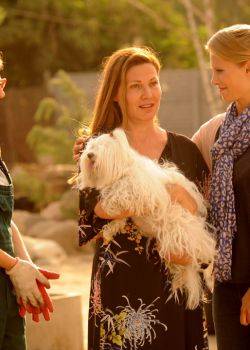 Blondynka - odcinek 16