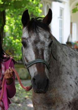 Blondynka - odcinek 17