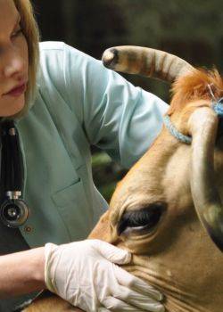 Blondynka - odcinek 31