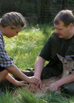 Blondynka - odcinek 4