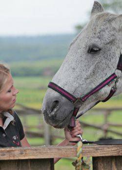 Blondynka - odcinek 56