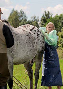 Blondynka - odcinek 66