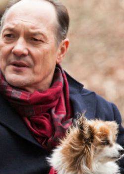 Galeria - odcinek 169