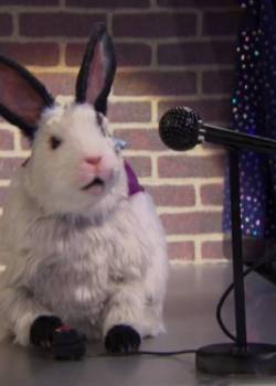 Grzmotomocni - sezon 2 - odcinek 5