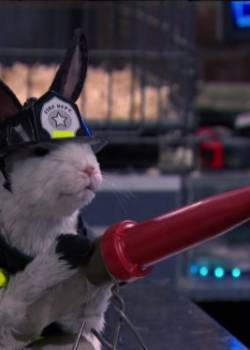 Grzmotomocni - sezon 3 - odcinek 21