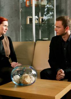 Julia - sezon 1 - odcinek 50