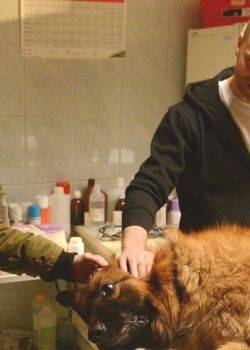 Komisarz Alex - odcinek 117 – Zemsta