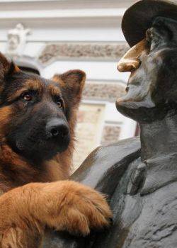 Komisarz Alex - odcinek 28 – Bilet do śmierci