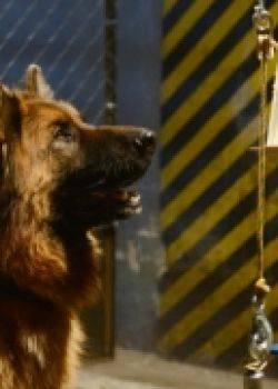 Komisarz Alex - odcinek 58 – Mordercza zabawka