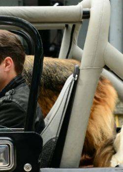 Komisarz Alex - odcinek 67 – Na pełnym gazie