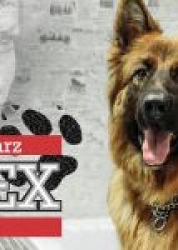 Komisarz Alex - odcinek 96 Tajemnica lekarska