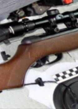 Kryminalne gry - sezon 2 - odcinek 31 (W poszukiwaniu Liroya i Freda - cz.I)