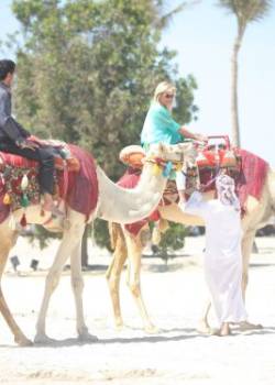 Moda na sukces - sezon 9 - odcinek 6834