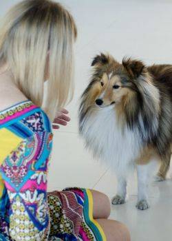 Na sygnale - odcinek 72