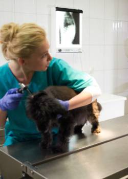 Na Wspólnej 1501-2000 - sezon 4 - odcinek 1893