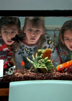 Nicky, Ricky, Dicky i Dawn - sezon 1 - odcinek 19