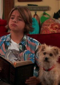 Nicky, Ricky, Dicky i Dawn - sezon 3 - odcinek 13