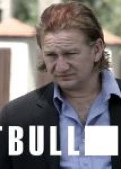 Pitbull - odcinek 18