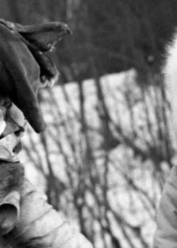 Przygody pana Michała - odcinek 9 - Porwanie