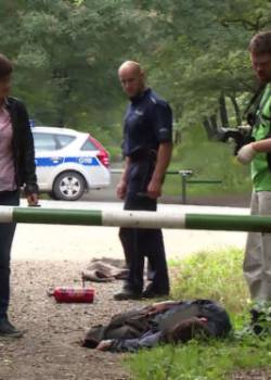 W-11 Wydział Śledczy - sezon 4 - odcinek 1319 (Brudas)