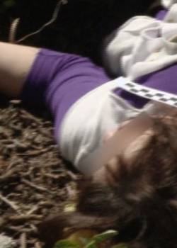 W-11 Wydział Śledczy - sezon 1 - odcinek 1036 (Szkolna dyskoteka)