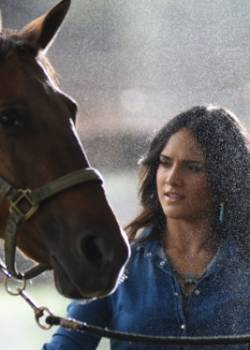 W obronie honoru - sezon 2 - odcinek 94