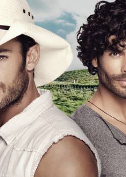 W obronie honoru - sezon 2 - odcinek 160