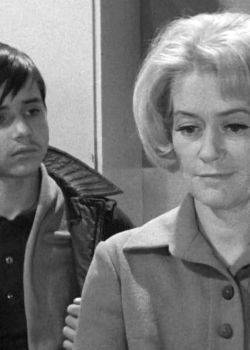 Wojna domowa - odcinek 1 - Ciężkie jest życie