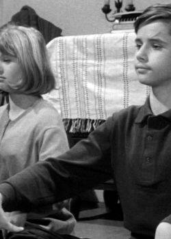 Wojna domowa - odcinek 7 - Polski joga