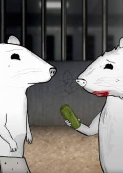 Zwierzęta - sezon 2 - odcinek 1