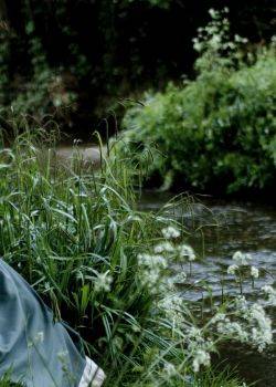 Życie w Cranford - odcinek 5